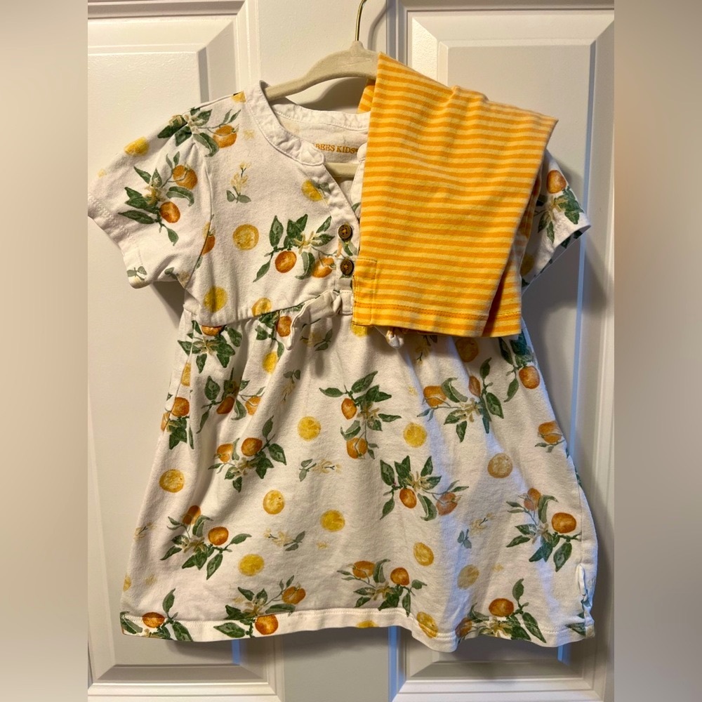 Burt’s Bee Baby Citrus Matching Set Girl Size 3T